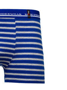 Men's Boxer Shorts Blue Bolf 1BE731