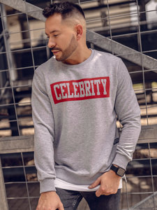 Men's Printed Sweatshirt Grey Bolf 11115A